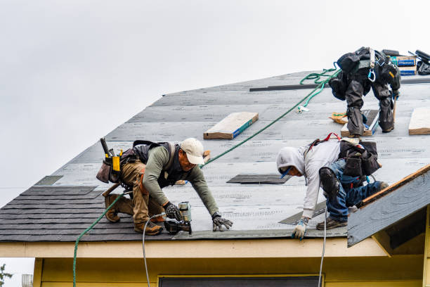 Professional Roof Installation technician working in Brussels, WI